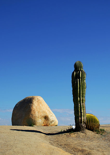 Cactus Rock in Color.