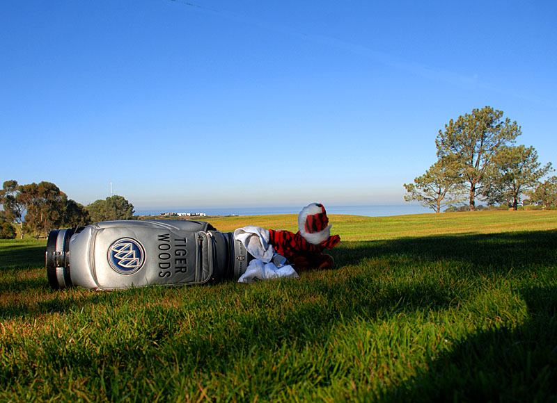 Tiger_Golf_Bag.jpg