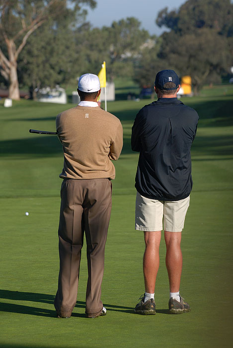 Tiger_Steve_Eye_SHot.jpg