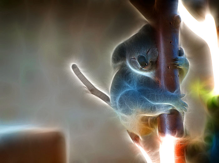 Fractalius_Baby_Koala_1412.jpg