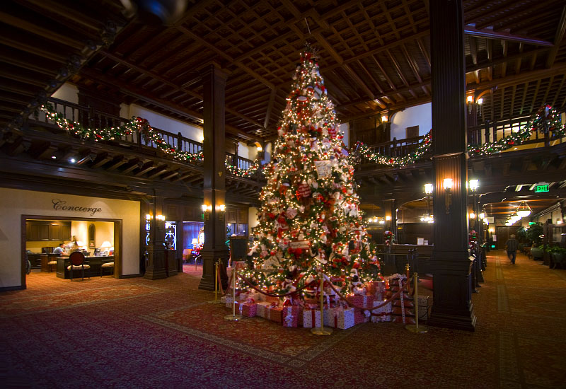 Del_tree_4711.jpg