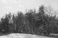 country-life-outtake-DSC_28.jpg