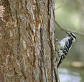 DSC_3916.jpg