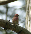DSC_3929.jpg