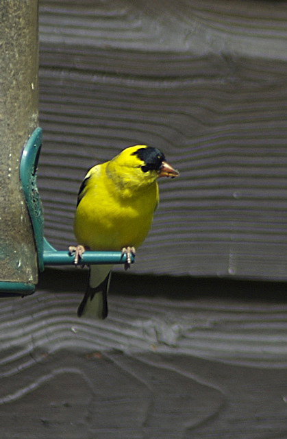 DSC_3901.jpg