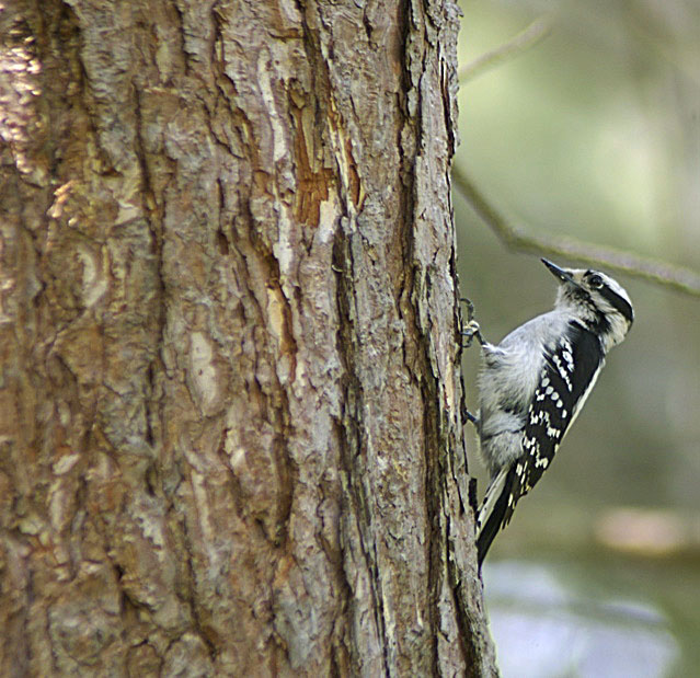 DSC_3916.jpg