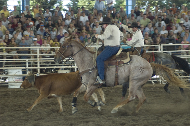DSC_5484.jpg