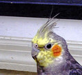 hi there