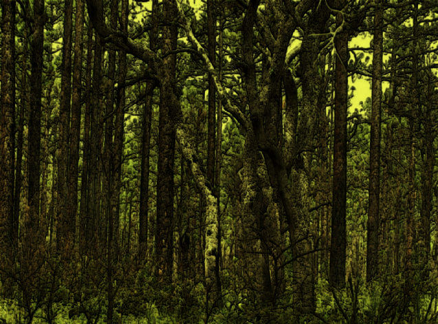 goblin woods.jpg