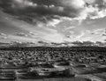 S.California Desert