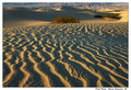 Sand dunes1.jpg