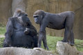 DSC_3526_2.jpg