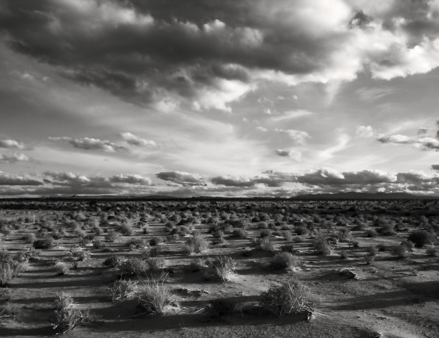 S.California Desert
