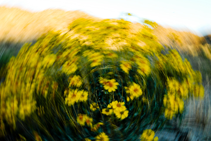 Abstract Motion Outtake1
