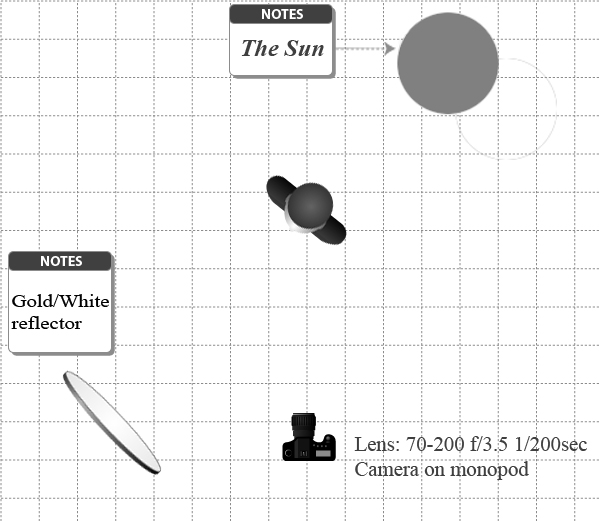 Outdoor LightingSetup