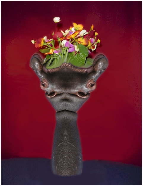 flowers copy 2.jpg