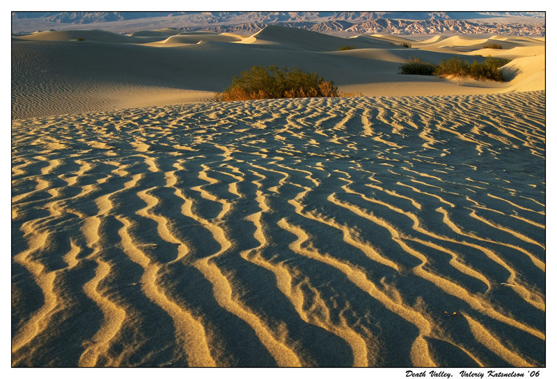 Sand dunes1.jpg