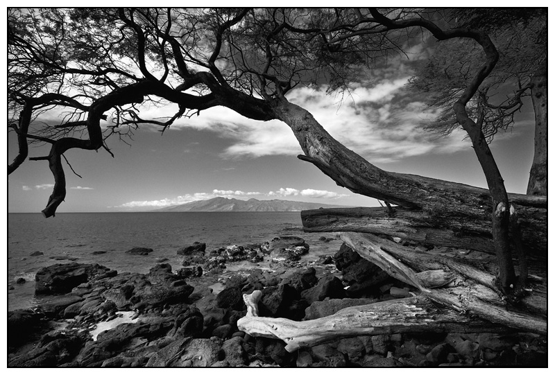 Maui