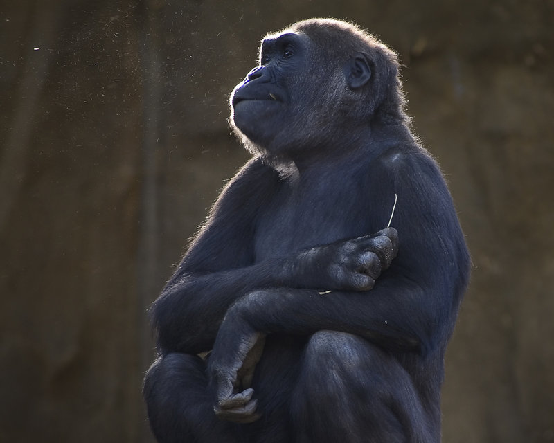 DEEP IN THOUGHTS