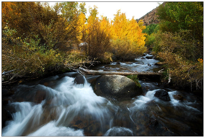Fall Colors 3