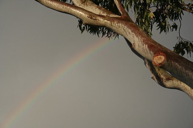 rainbow orig.jpg