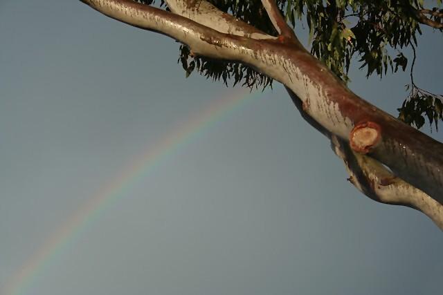 rainbow 2.jpg