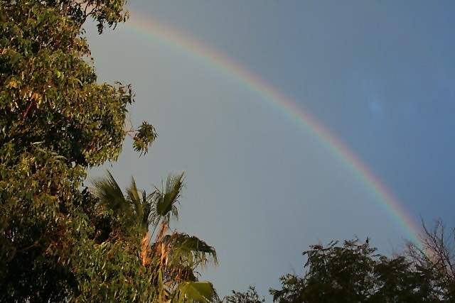 Rainbow 4.jpg