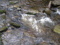 Stream