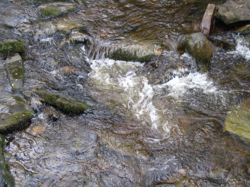 Stream
