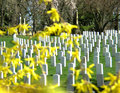 Cemetary
