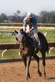 Keeneland 05-7