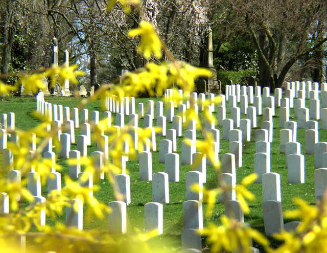 Cemetary