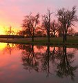 Cedar Lake Reflection