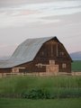 Montana Barn1
