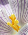 Complementary