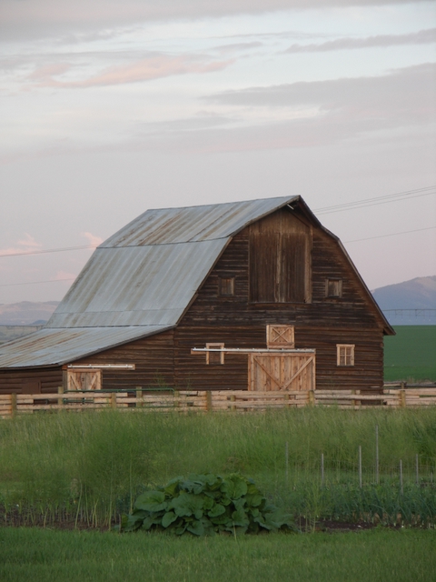 Montana Barn1