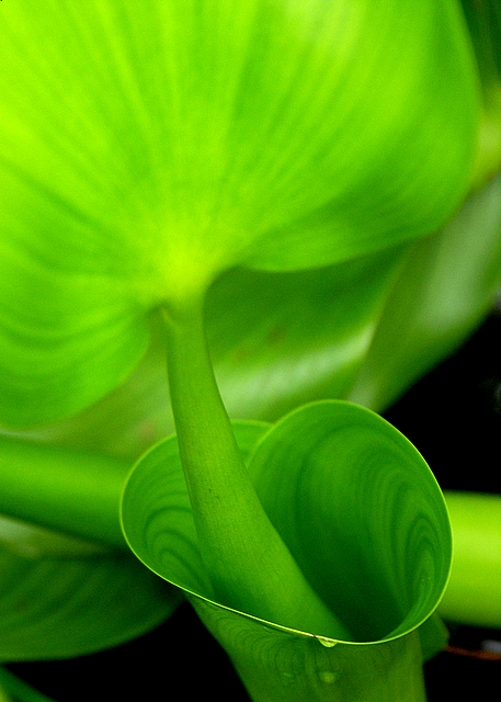 PICT5979.JPG
