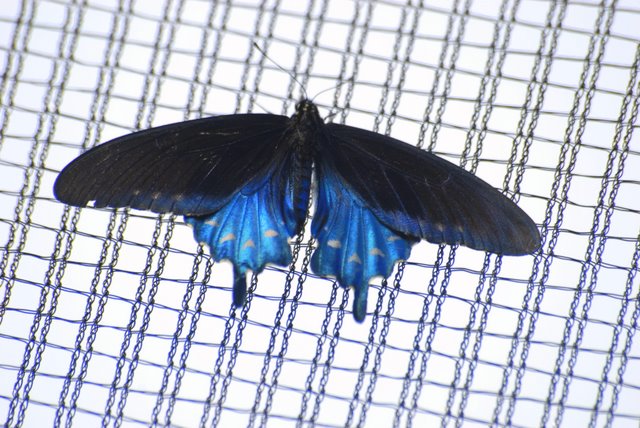 DSC_5532.JPG