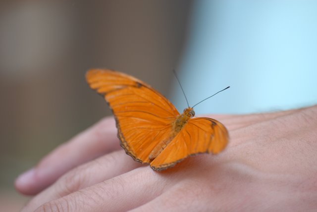 DSC_5563.JPG
