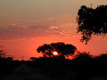 Sunset-20050403.jpg
