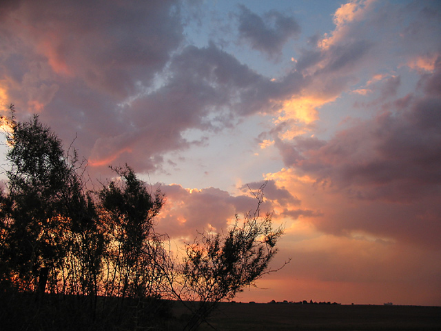 West rand farm dusk.jpg