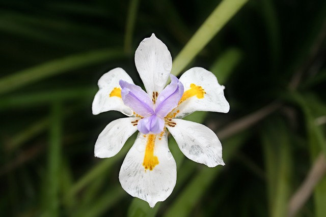 DP_0889.jpg