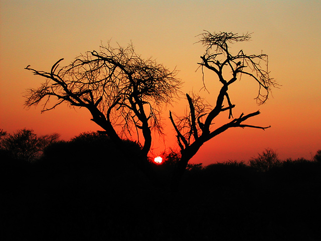 VJs-Sunset-2.jpg