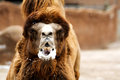 What are you lookin at?
