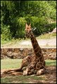 Taking a rest