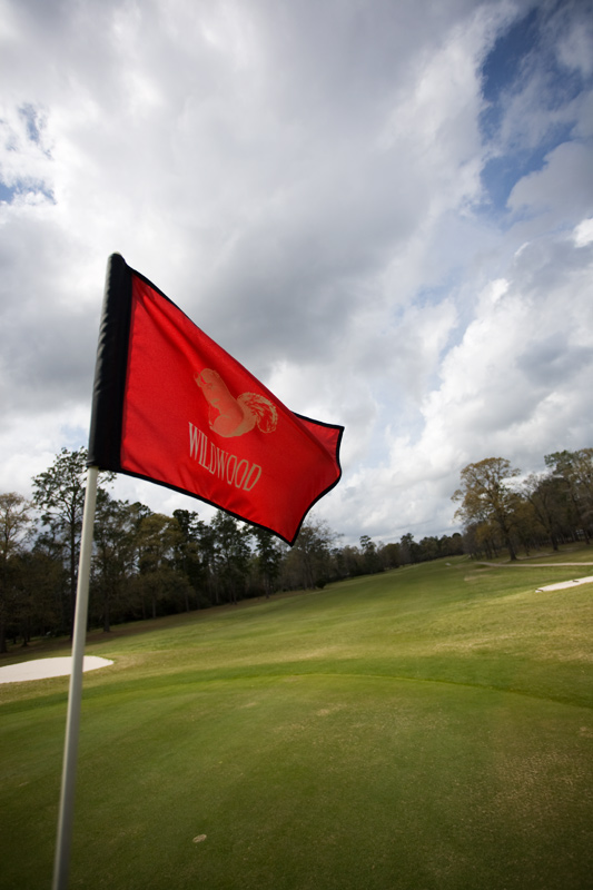 golf07.jpg