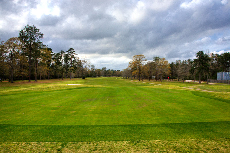 golf10.jpg