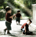 day  in the zoo.jpg