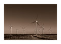 Windfarm 1.jpg