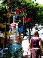 Bucket Tree, Cuba Mall, Wellington